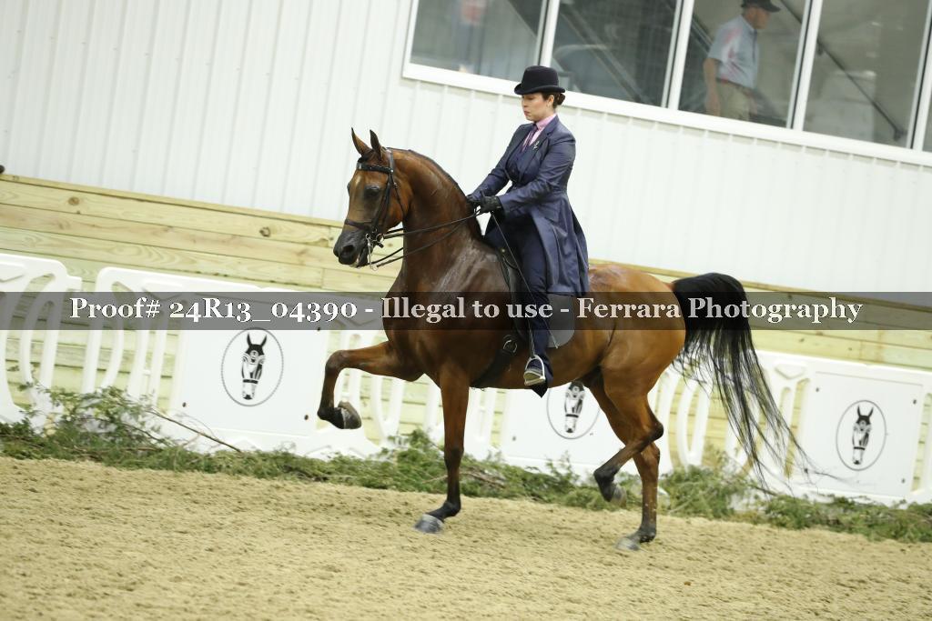 Proof Number 24R13_04390