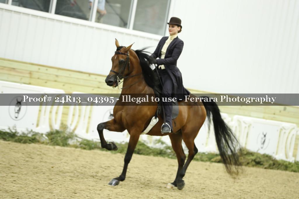 Proof Number 24R13_04395