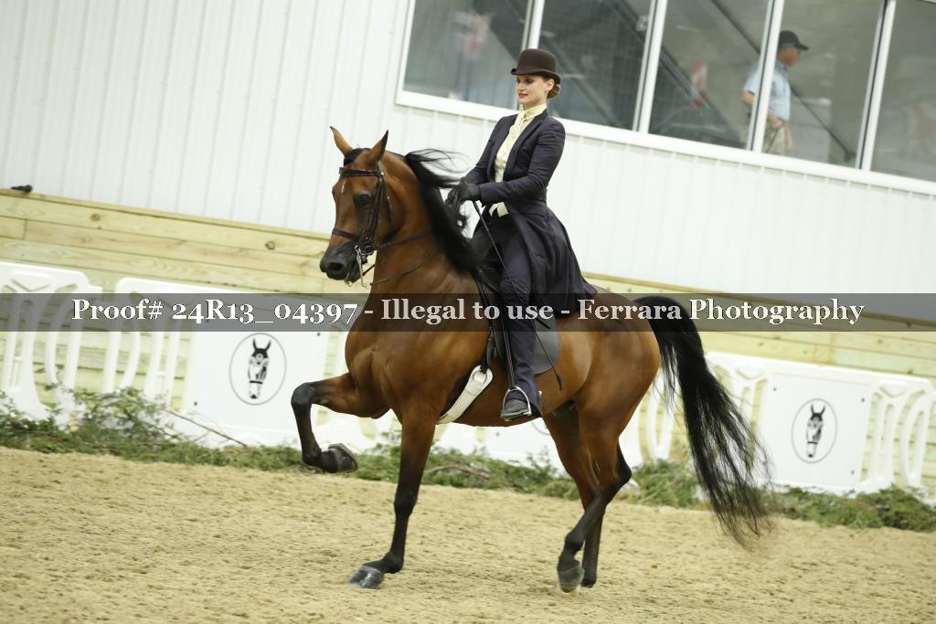 Proof Number 24R13_04397