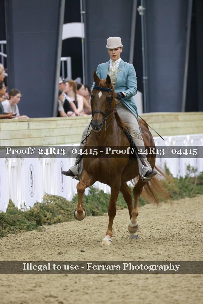 Proof Number 24R13_04415