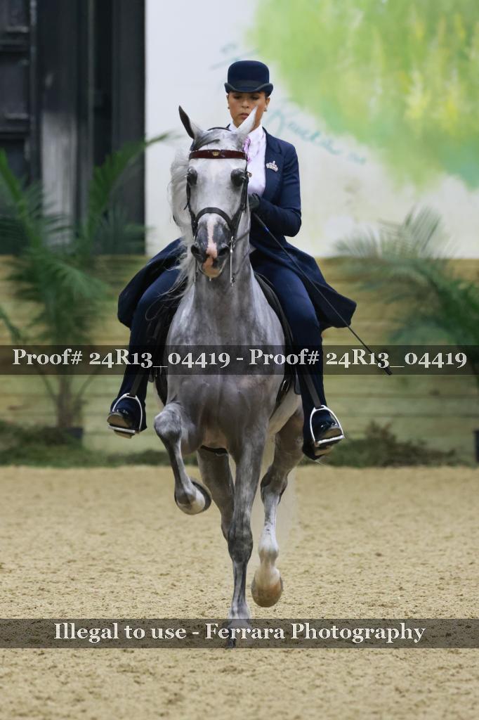 Proof Number 24R13_04419