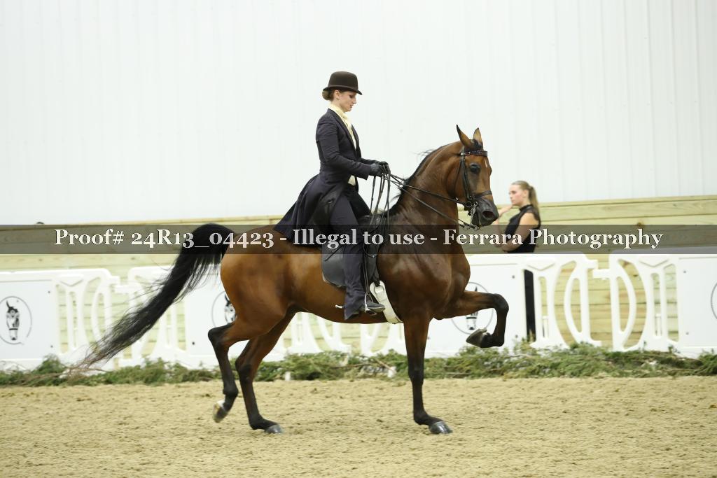 Proof Number 24R13_04423
