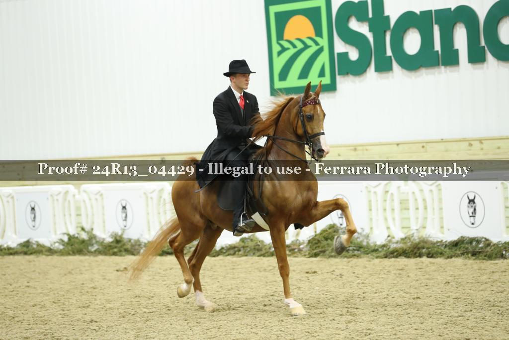 Proof Number 24R13_04429