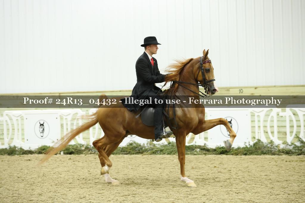 Proof Number 24R13_04432