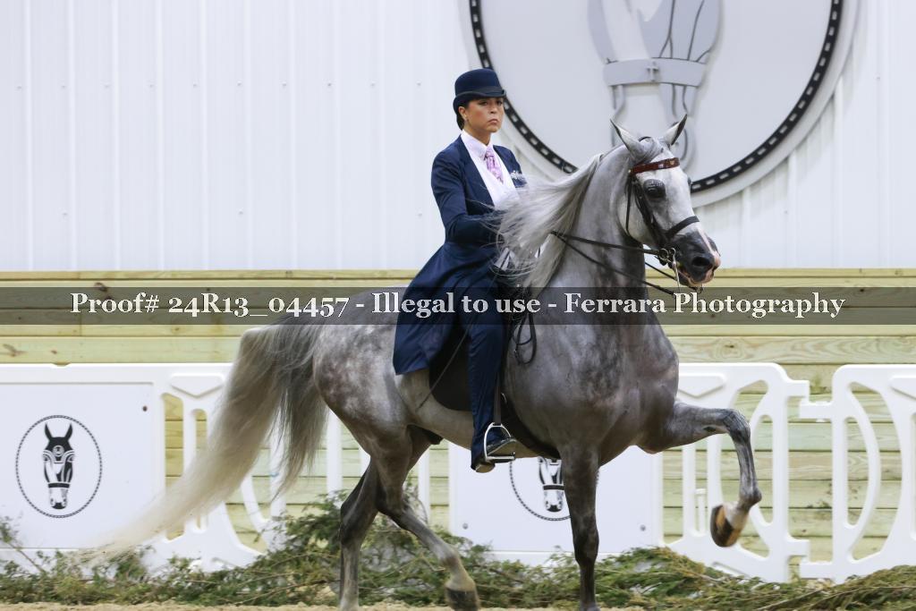 Proof Number 24R13_04457