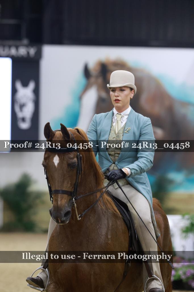 Proof Number 24R13_04458