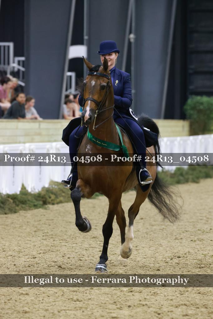 Proof Number 24R13_04508