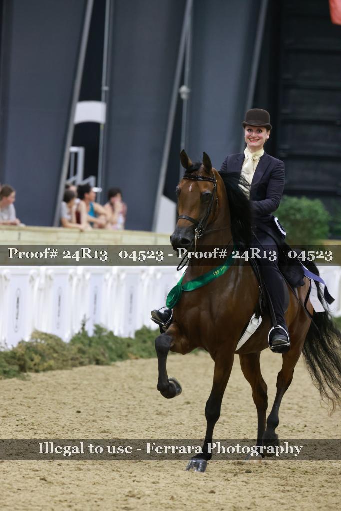 Proof Number 24R13_04523