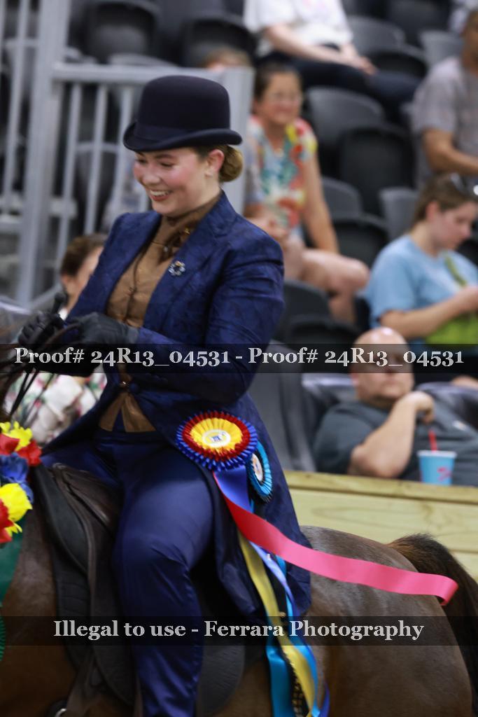 Proof Number 24R13_04531