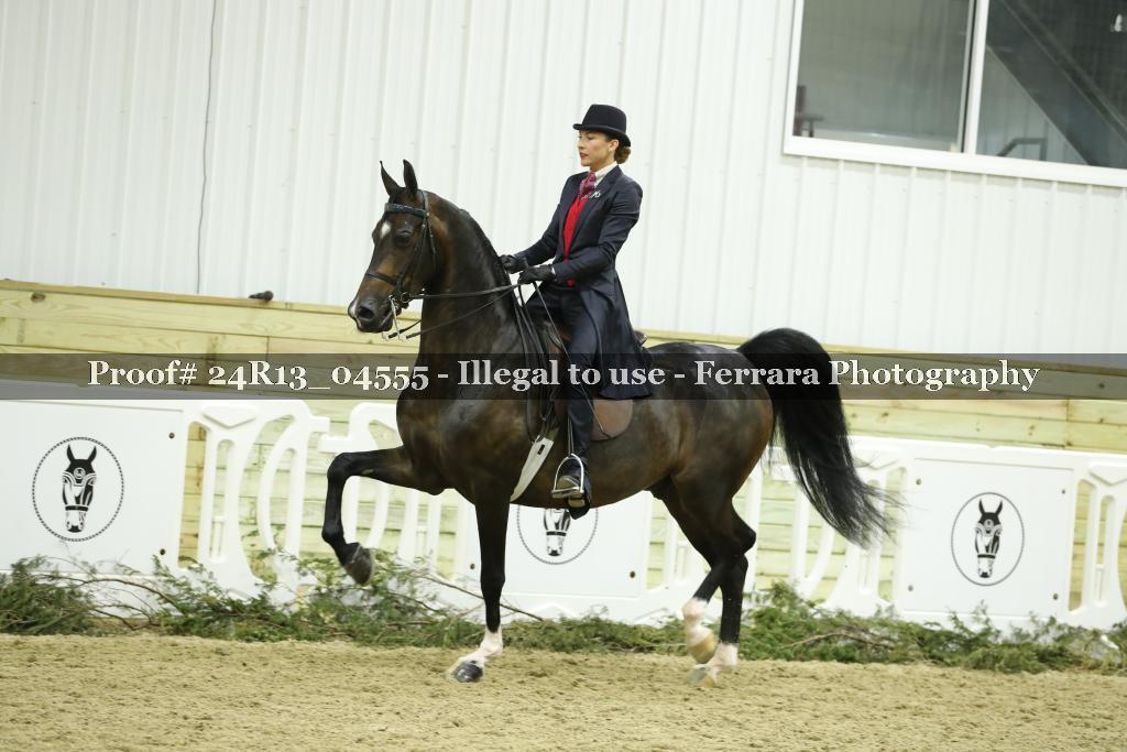 Proof Number 24R13_04555