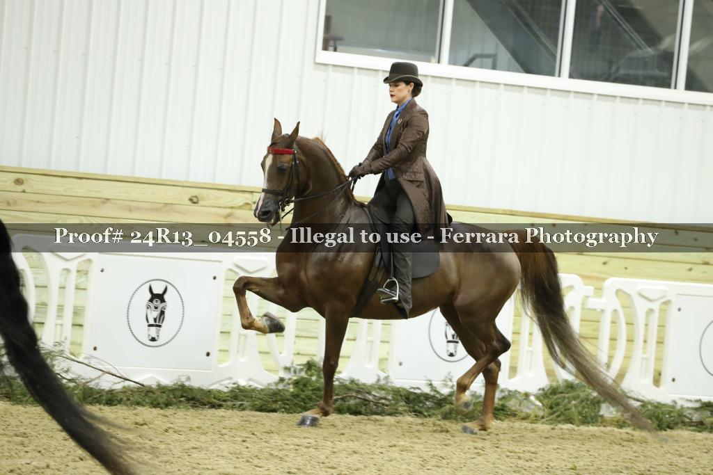 Proof Number 24R13_04558