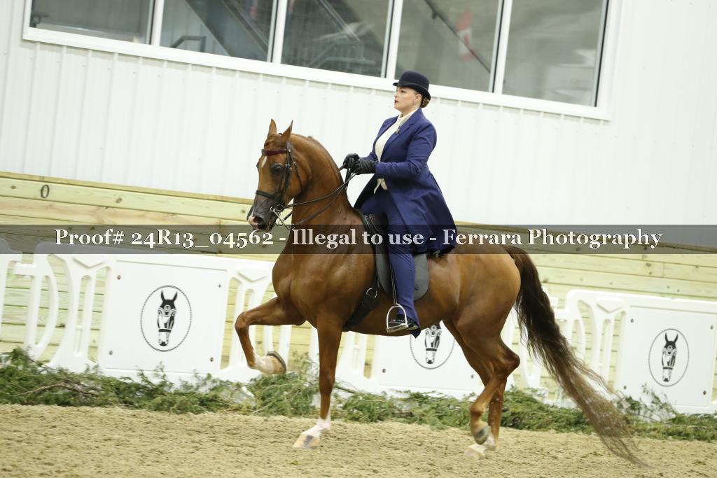 Proof Number 24R13_04562