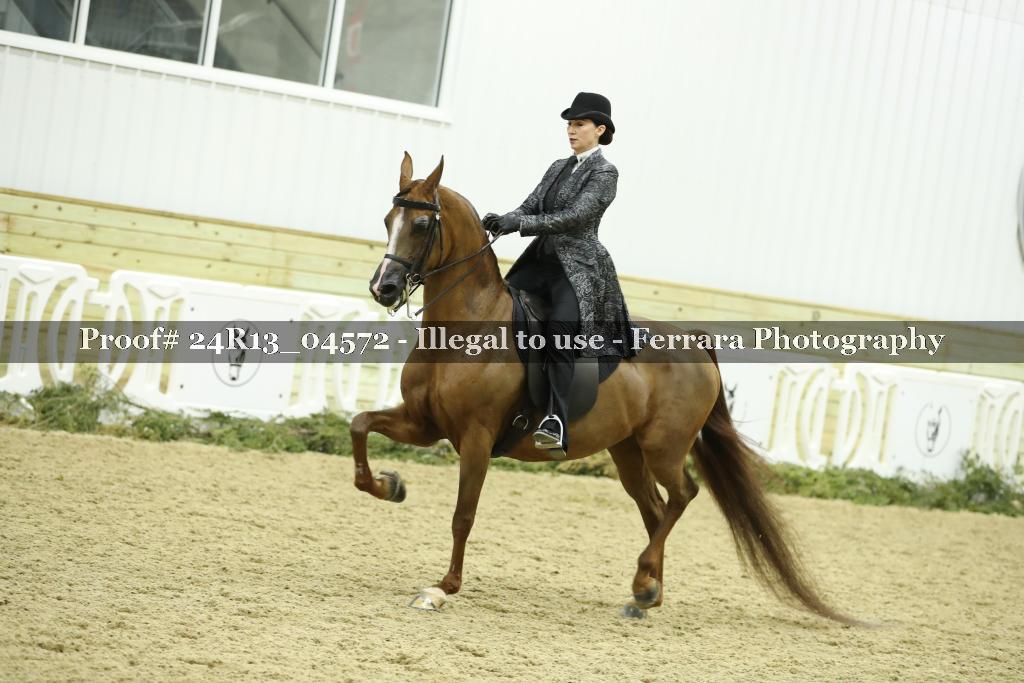 Proof Number 24R13_04572