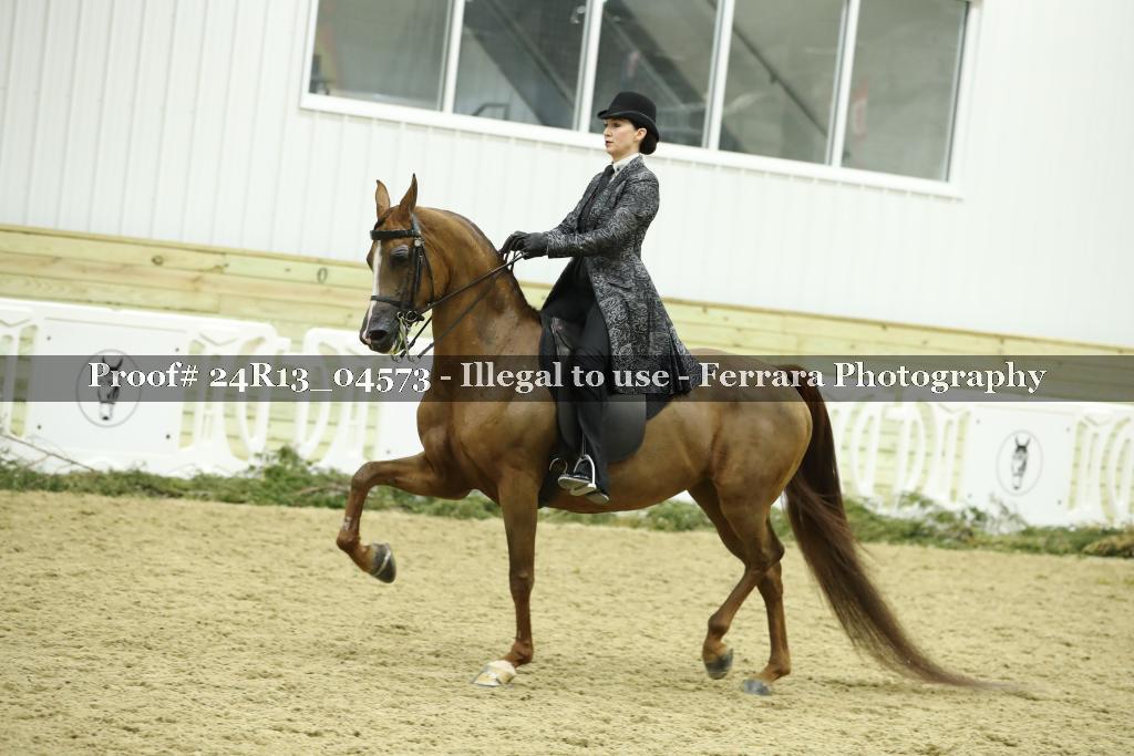 Proof Number 24R13_04573