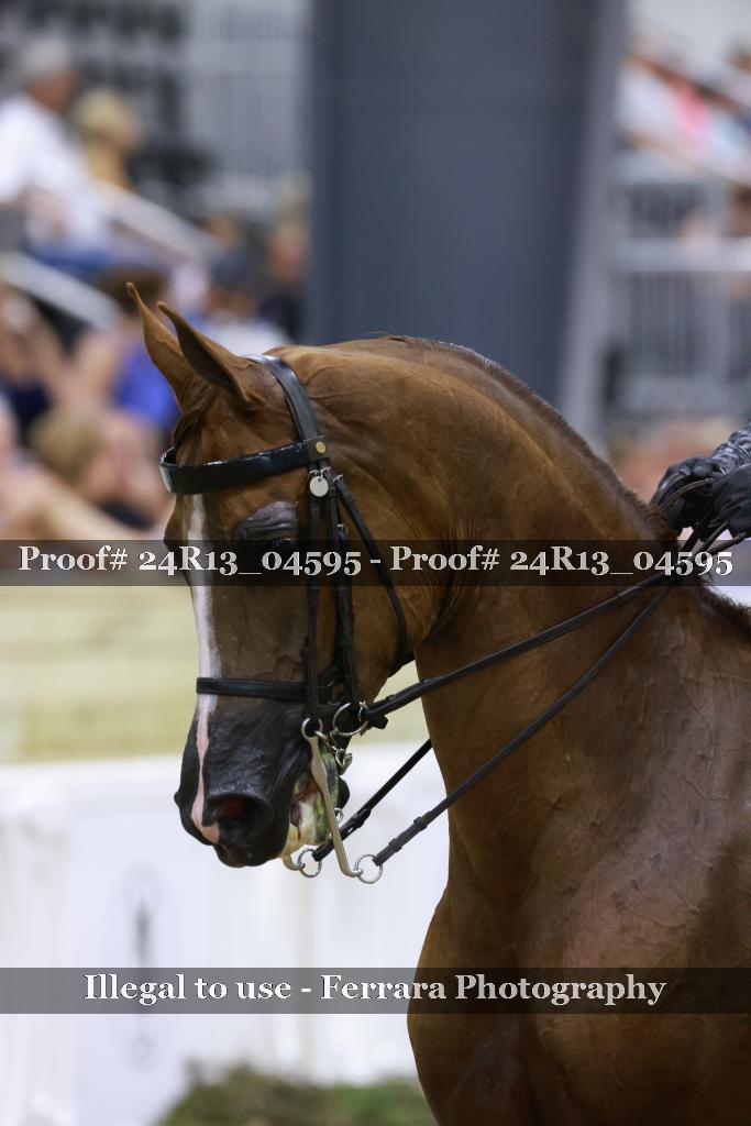 Proof Number 24R13_04595
