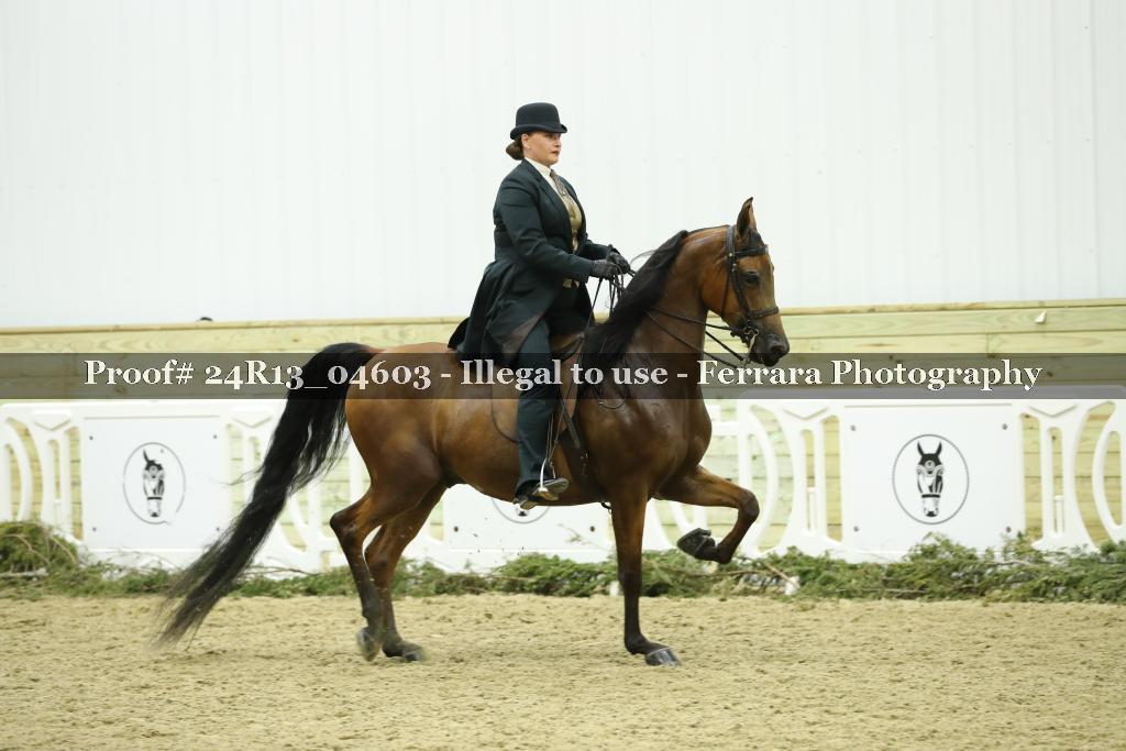 Proof Number 24R13_04603