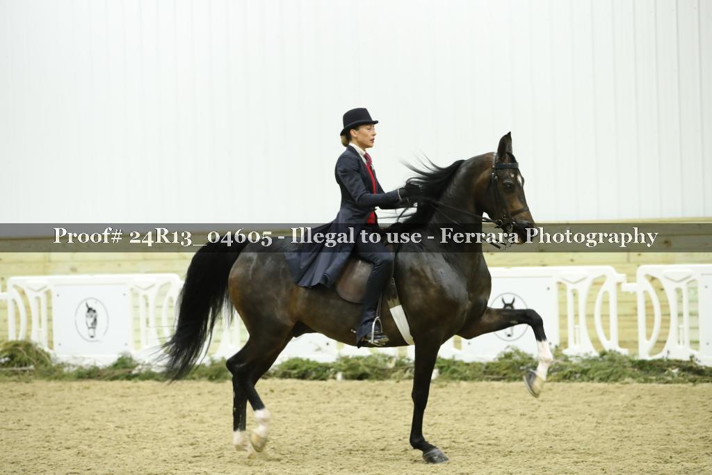 Proof Number 24R13_04605