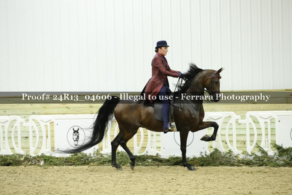 Proof Number 24R13_04606