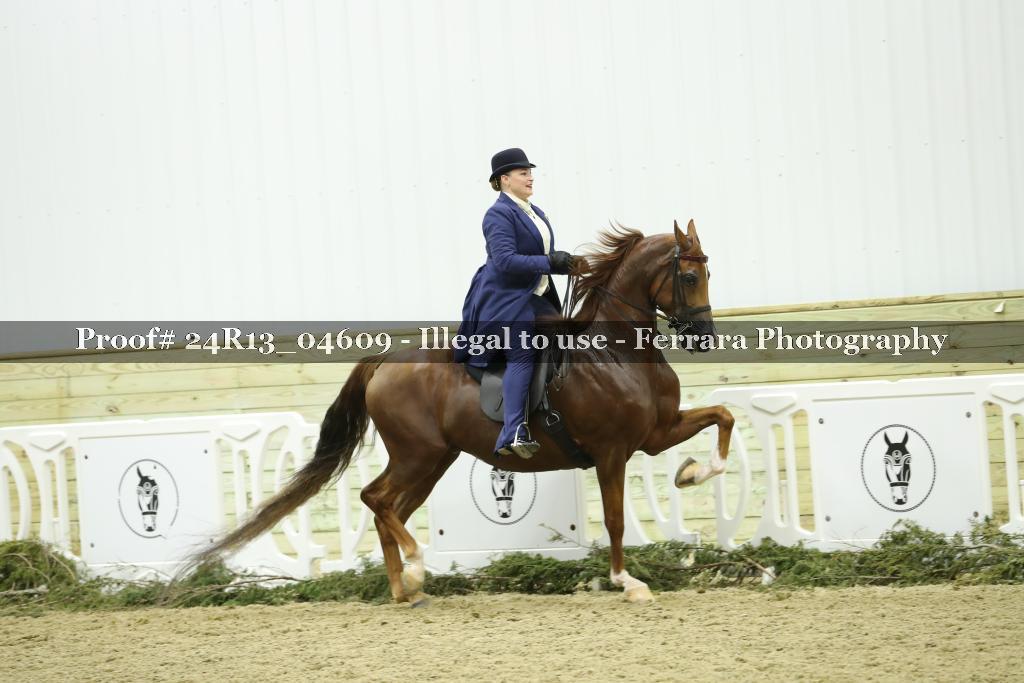 Proof Number 24R13_04609