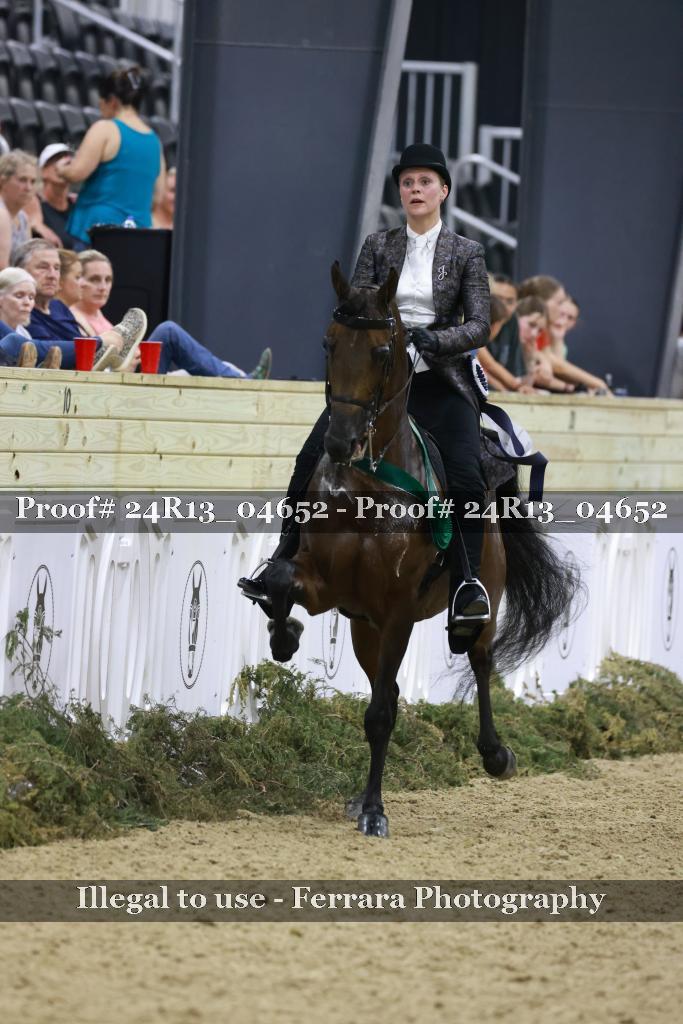 Proof Number 24R13_04652