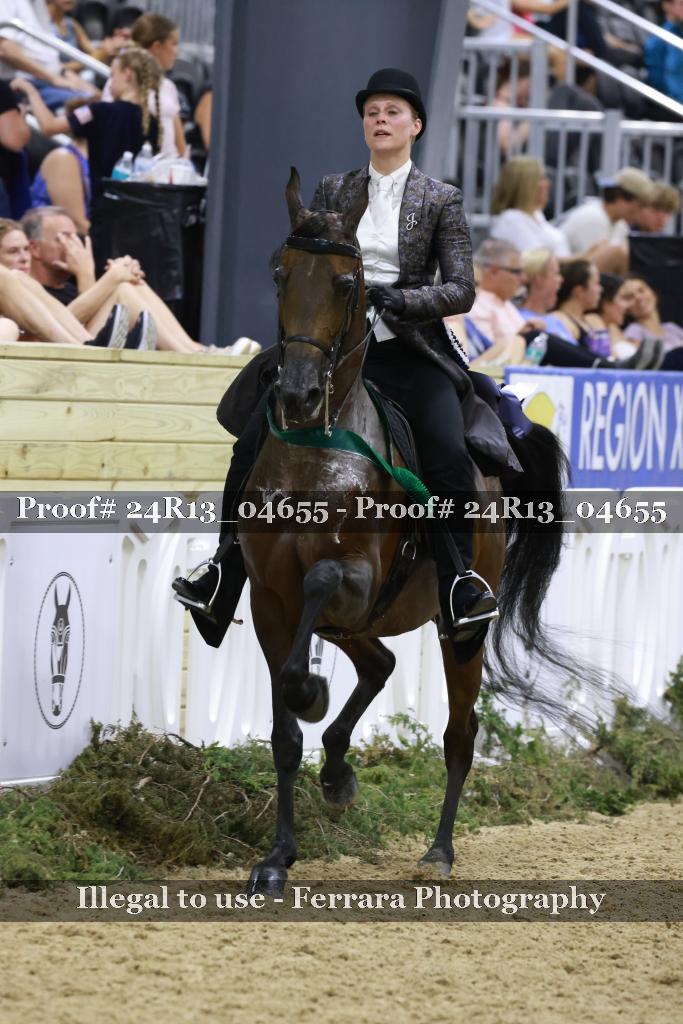 Proof Number 24R13_04655