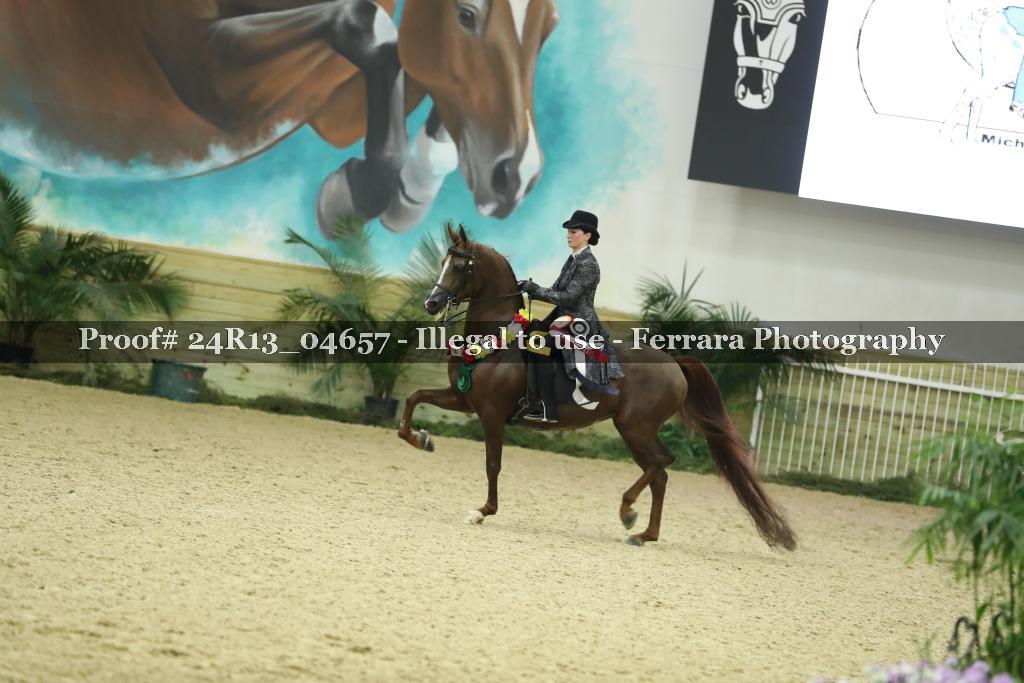 Proof Number 24R13_04657