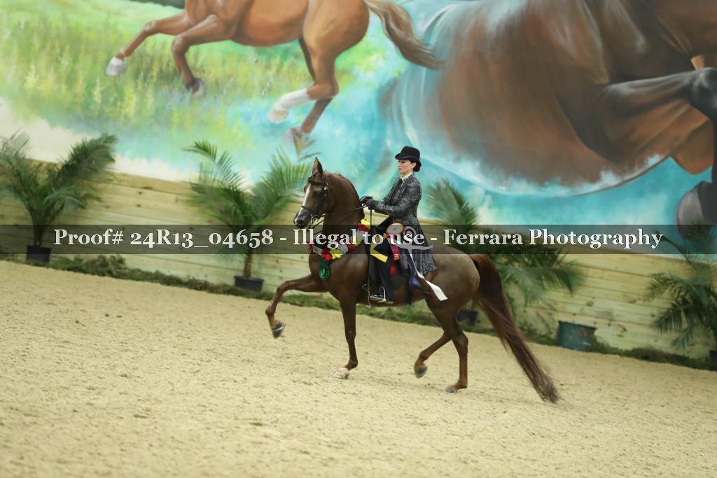 Proof Number 24R13_04658