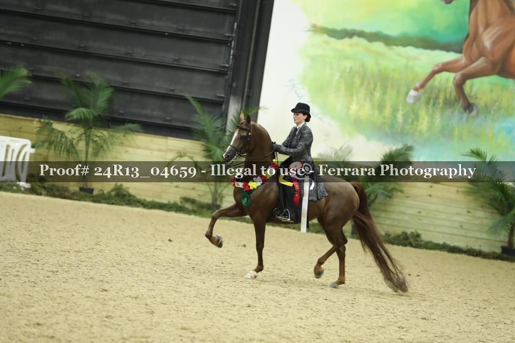 Proof Number 24R13_04659