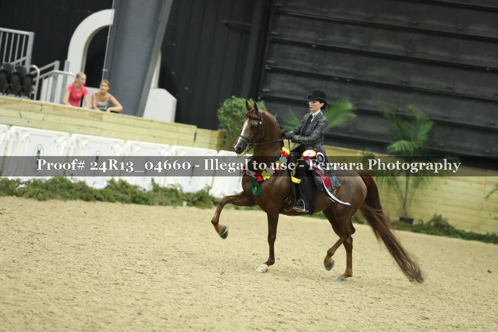 Proof Number 24R13_04660