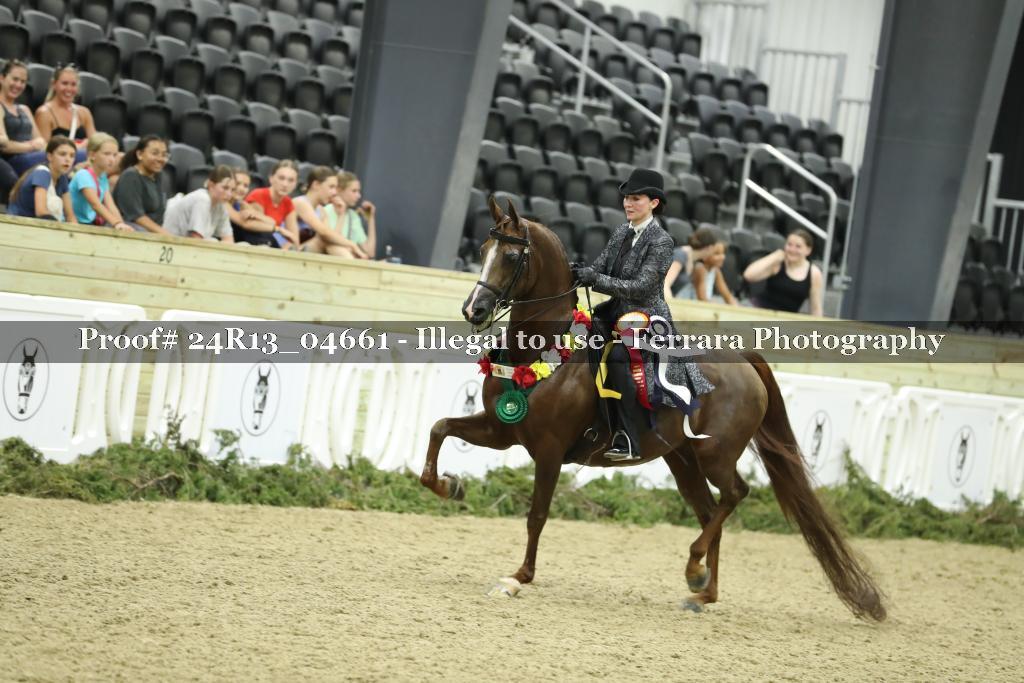 Proof Number 24R13_04661
