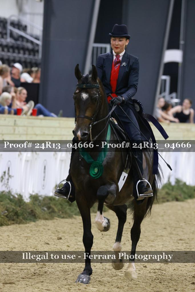 Proof Number 24R13_04666