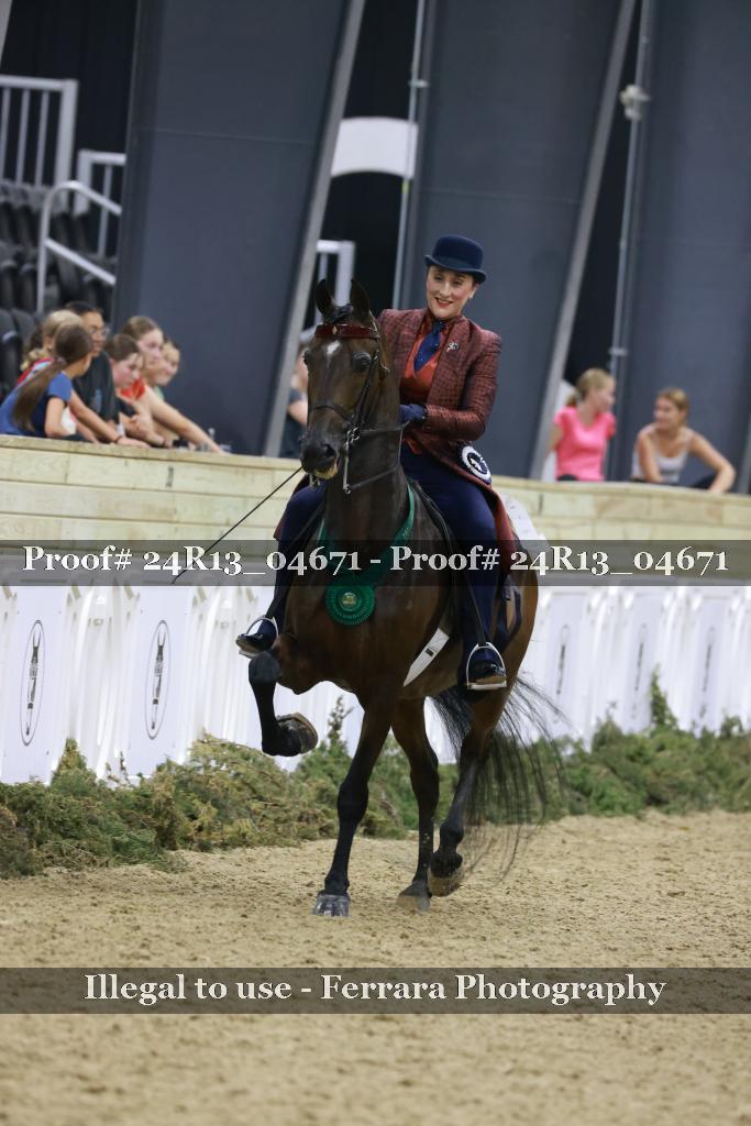 Proof Number 24R13_04671