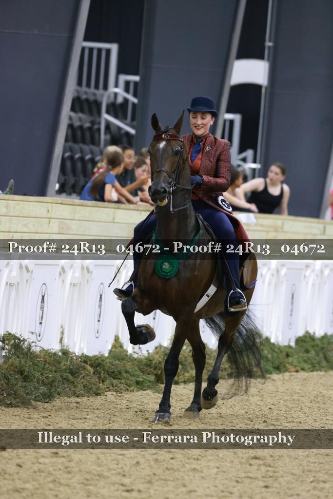 Proof Number 24R13_04672