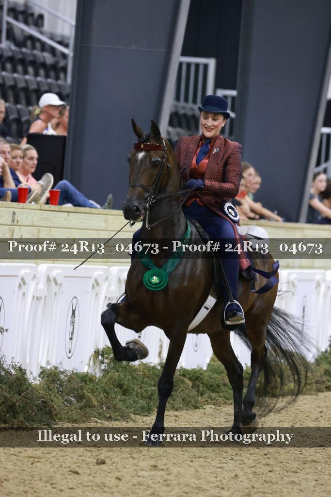 Proof Number 24R13_04673