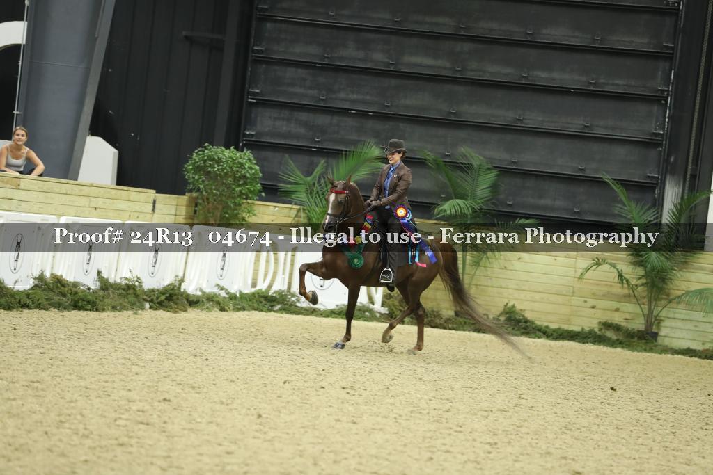 Proof Number 24R13_04674