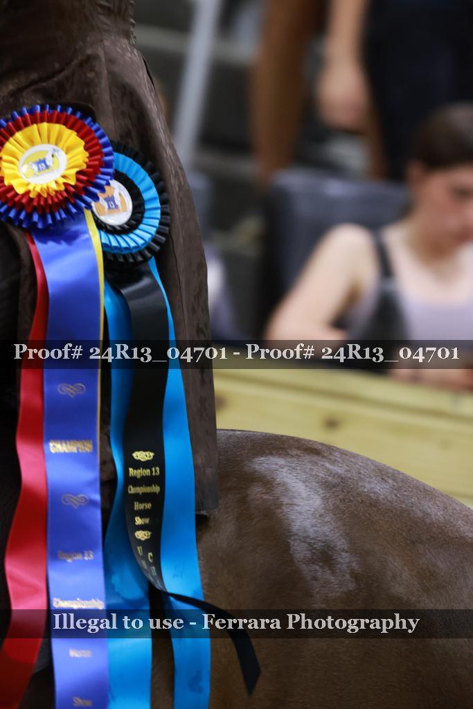 Proof Number 24R13_04701