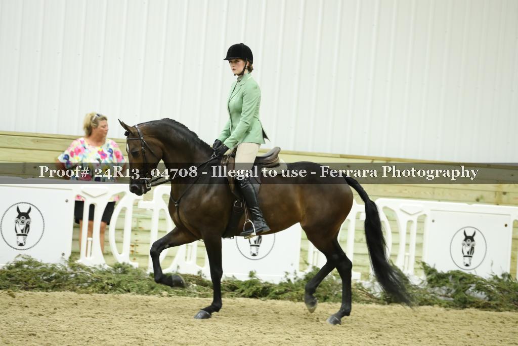 Proof Number 24R13_04708