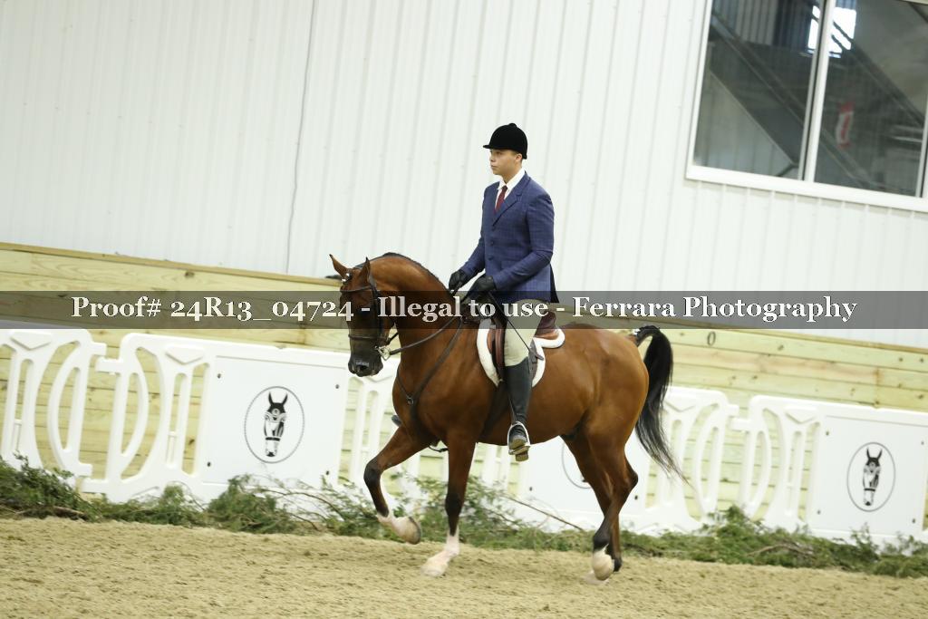 Proof Number 24R13_04724