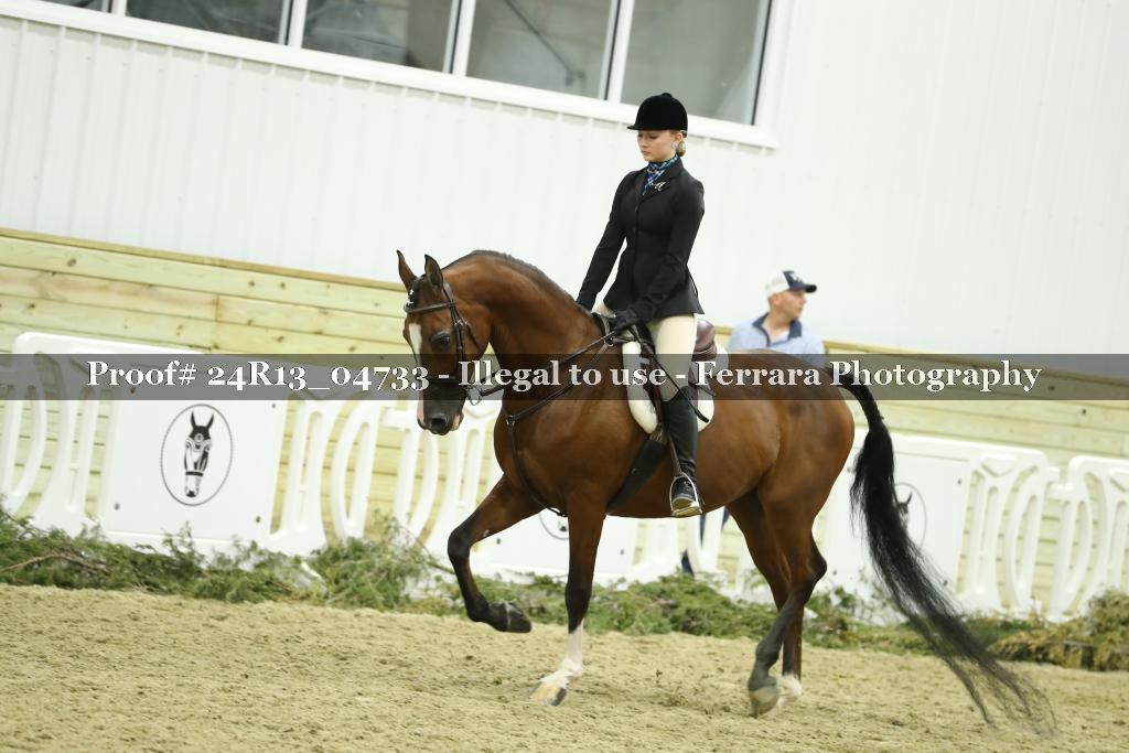 Proof Number 24R13_04733
