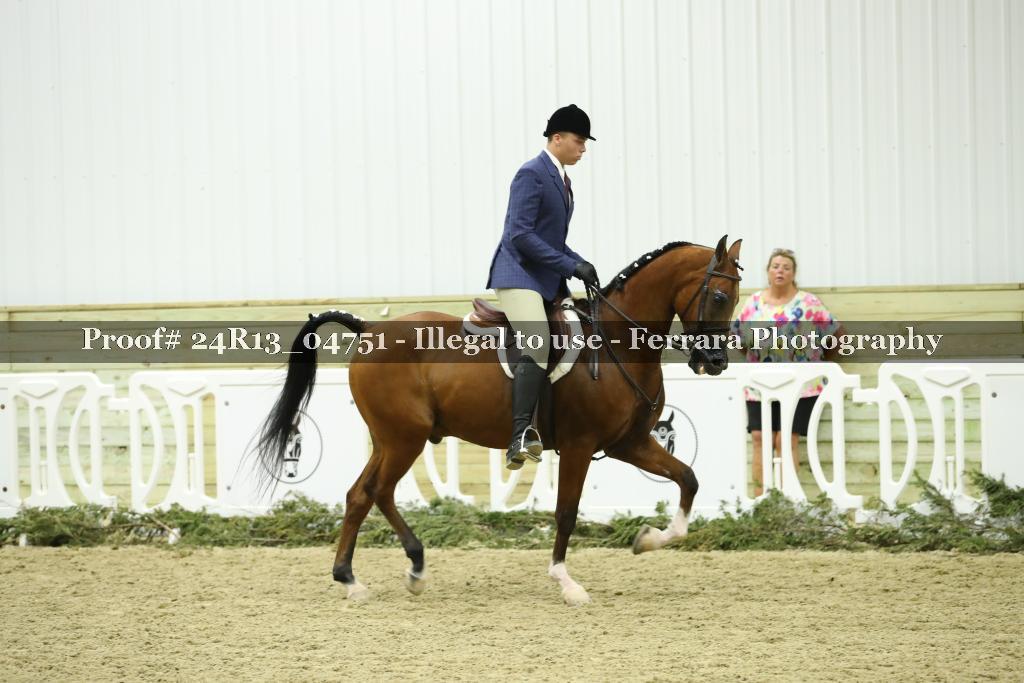 Proof Number 24R13_04751