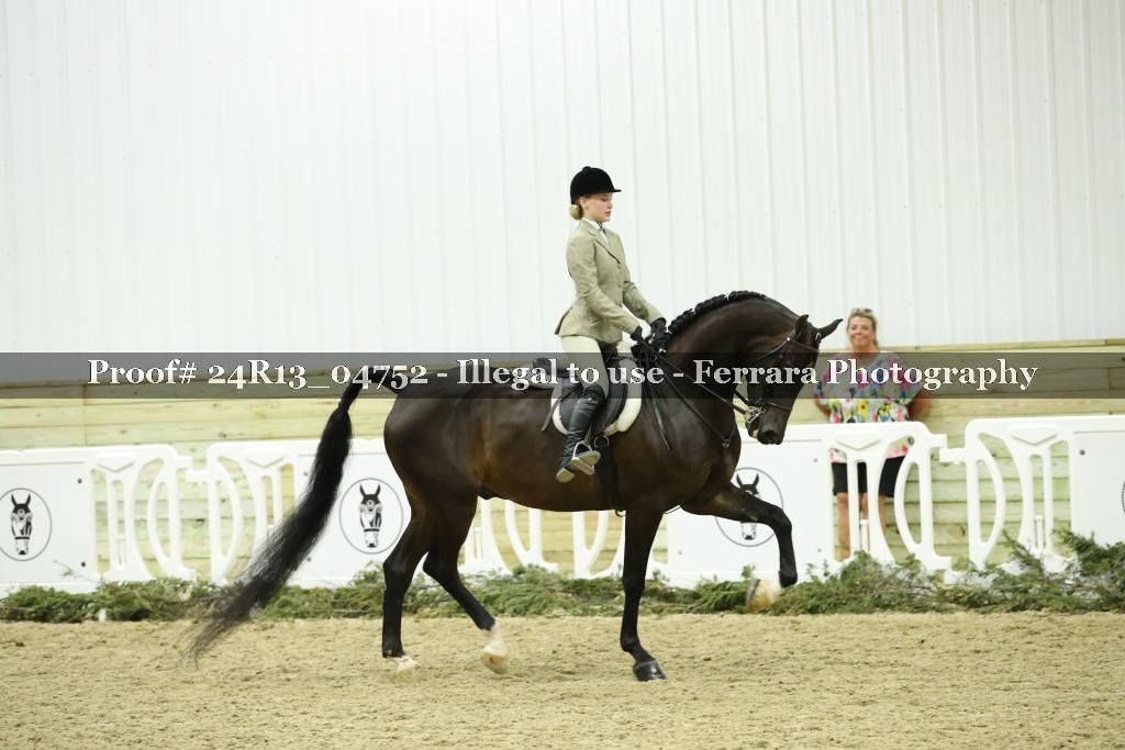 Proof Number 24R13_04752