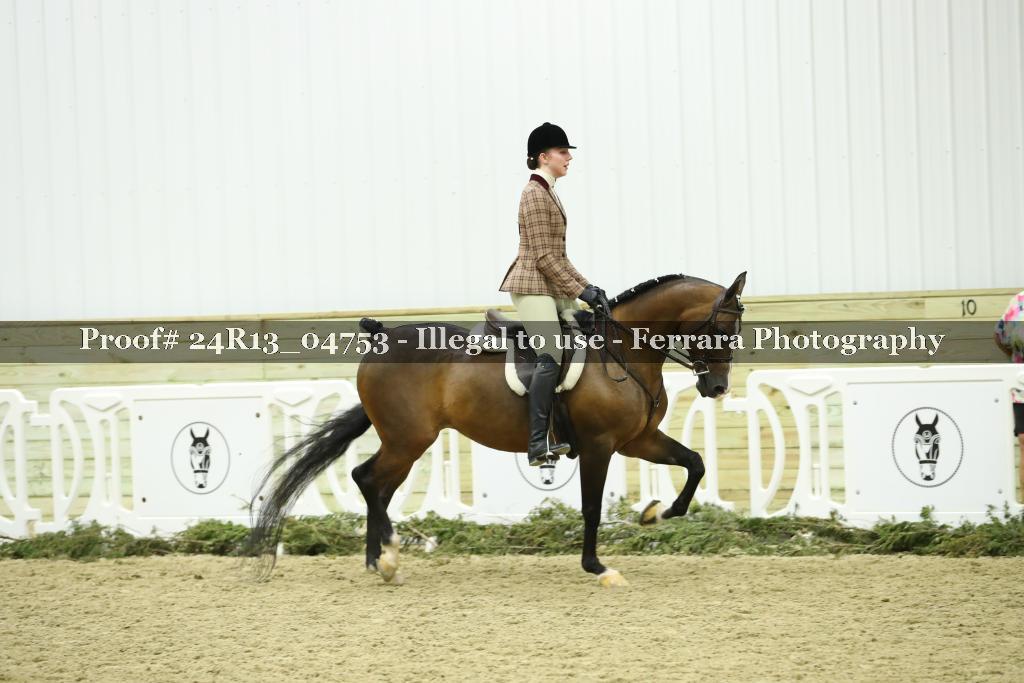Proof Number 24R13_04753