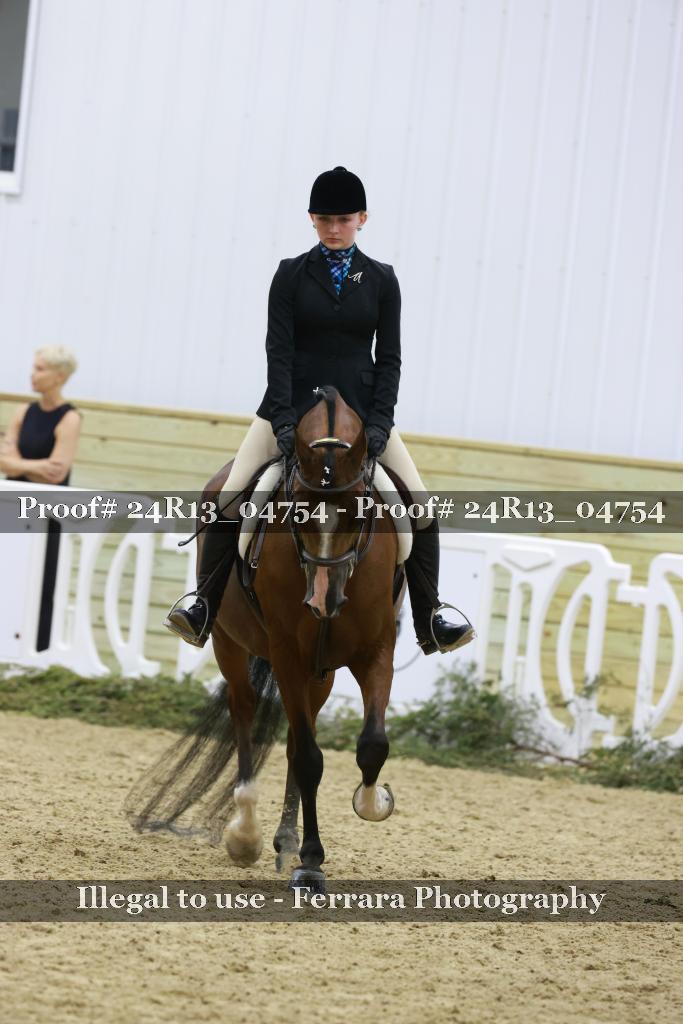Proof Number 24R13_04754