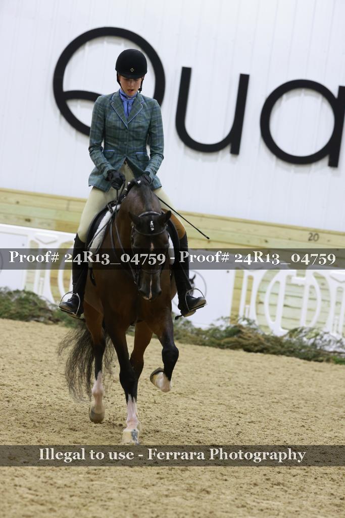 Proof Number 24R13_04759