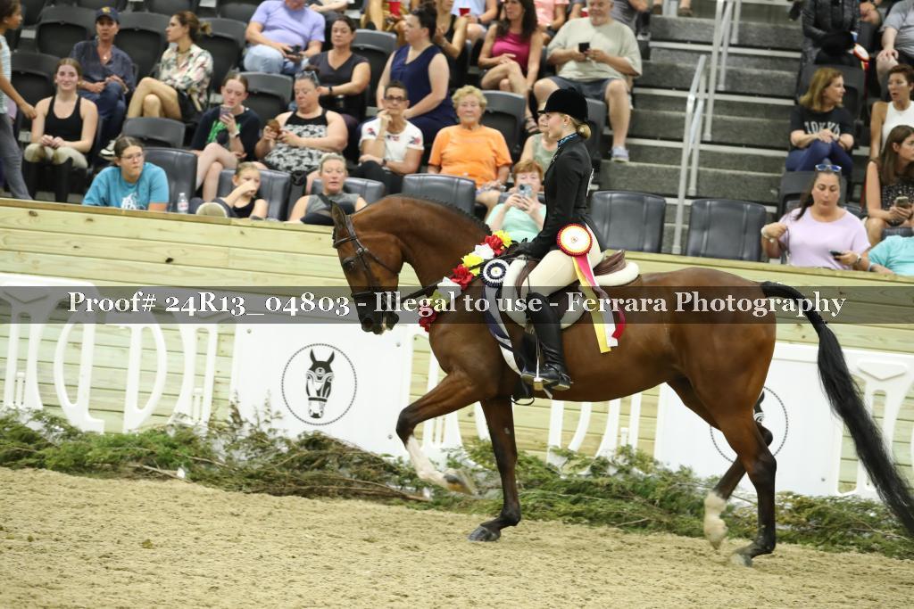 Proof Number 24R13_04803