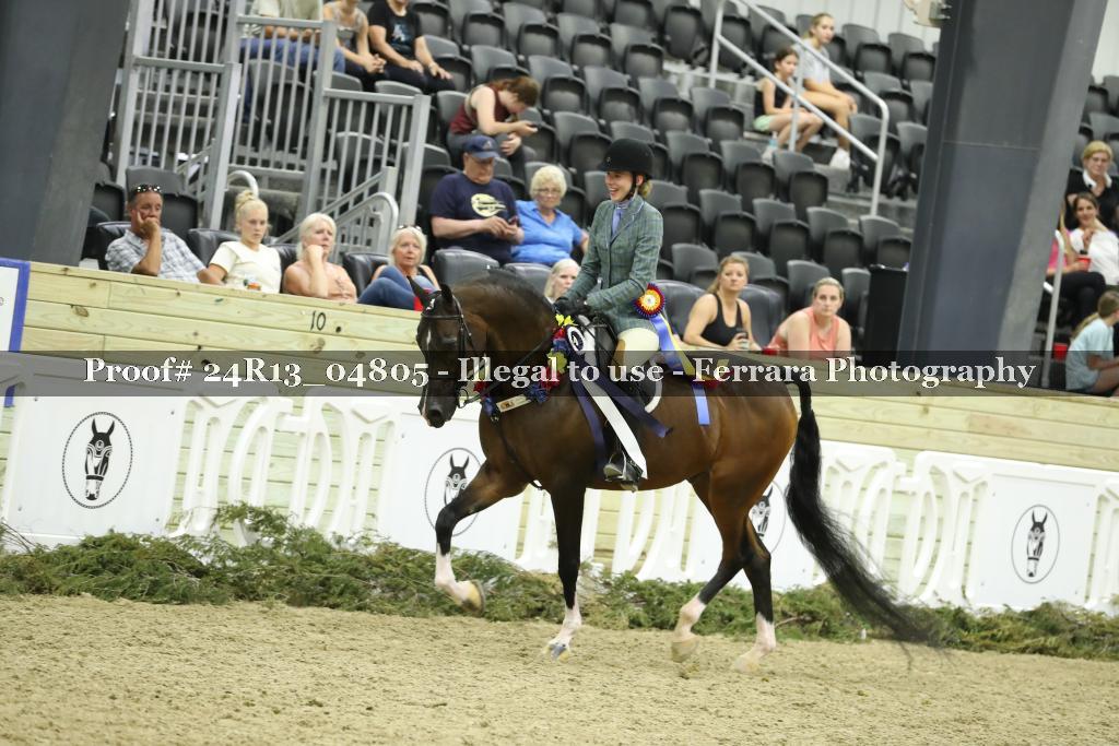 Proof Number 24R13_04805