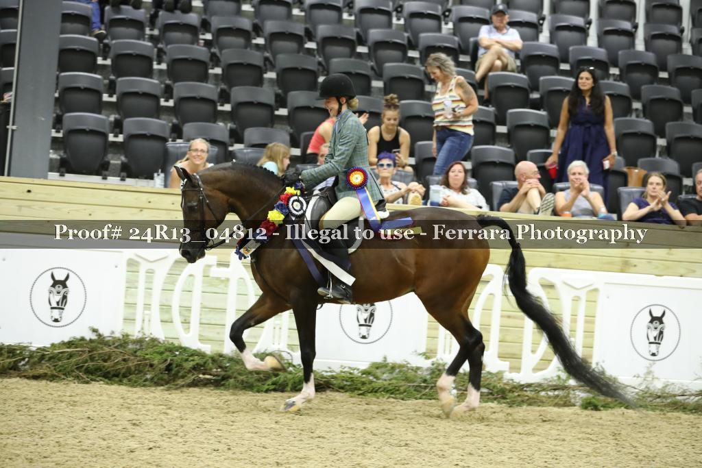 Proof Number 24R13_04812