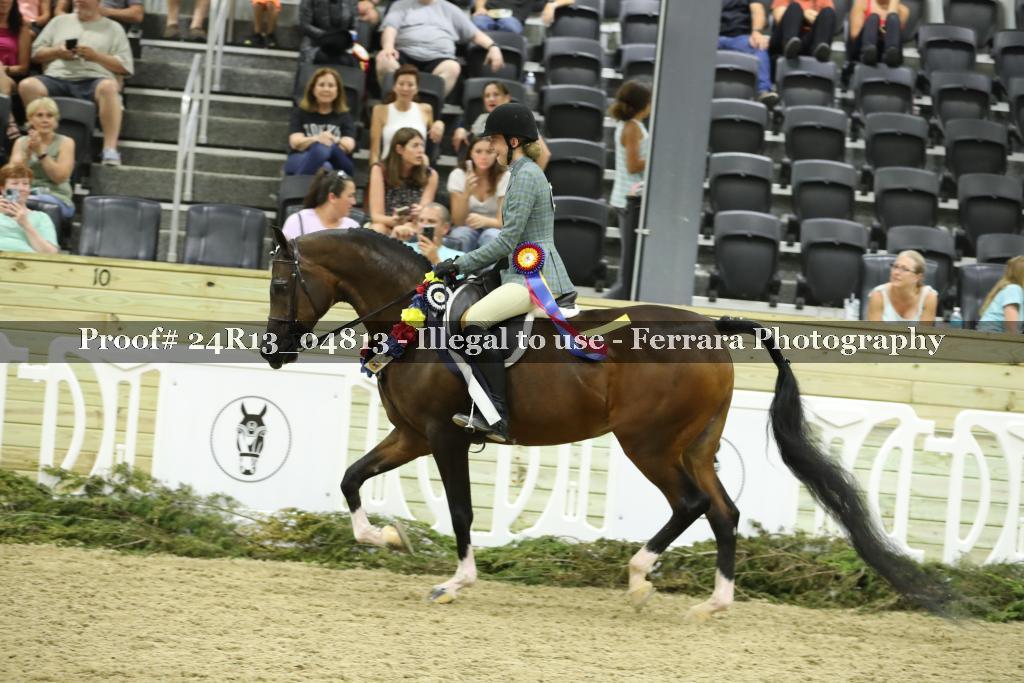 Proof Number 24R13_04813