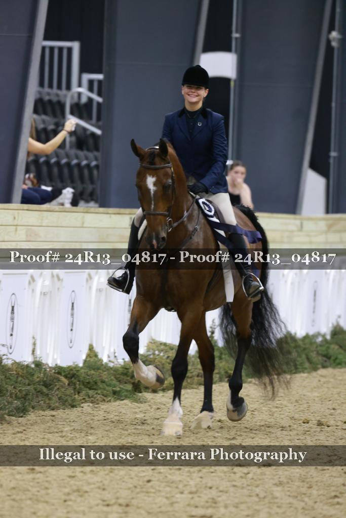 Proof Number 24R13_04817
