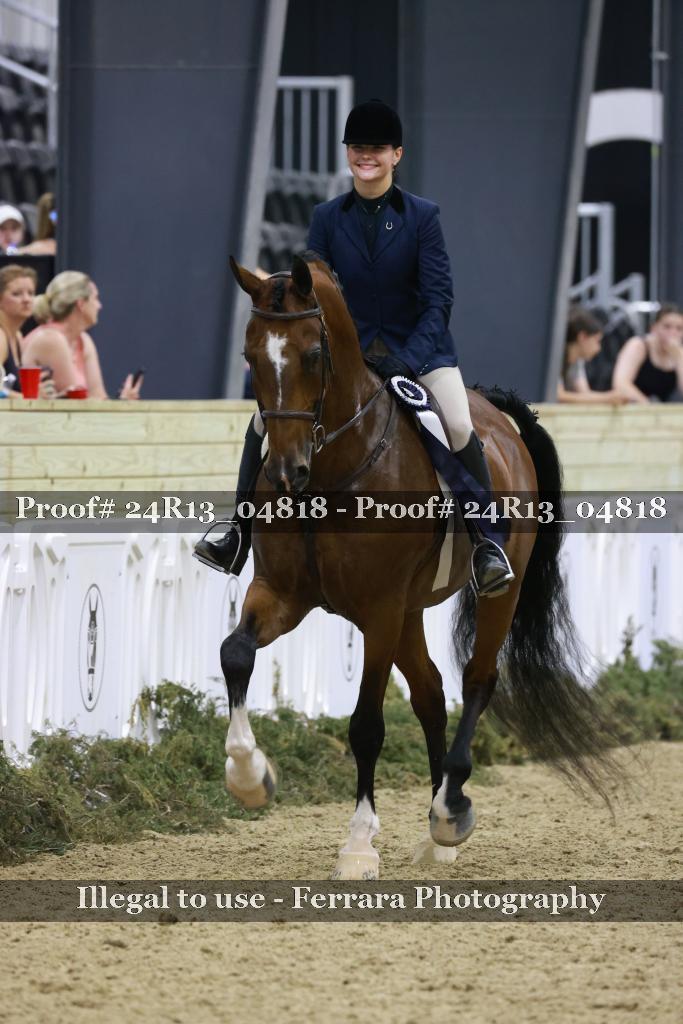 Proof Number 24R13_04818